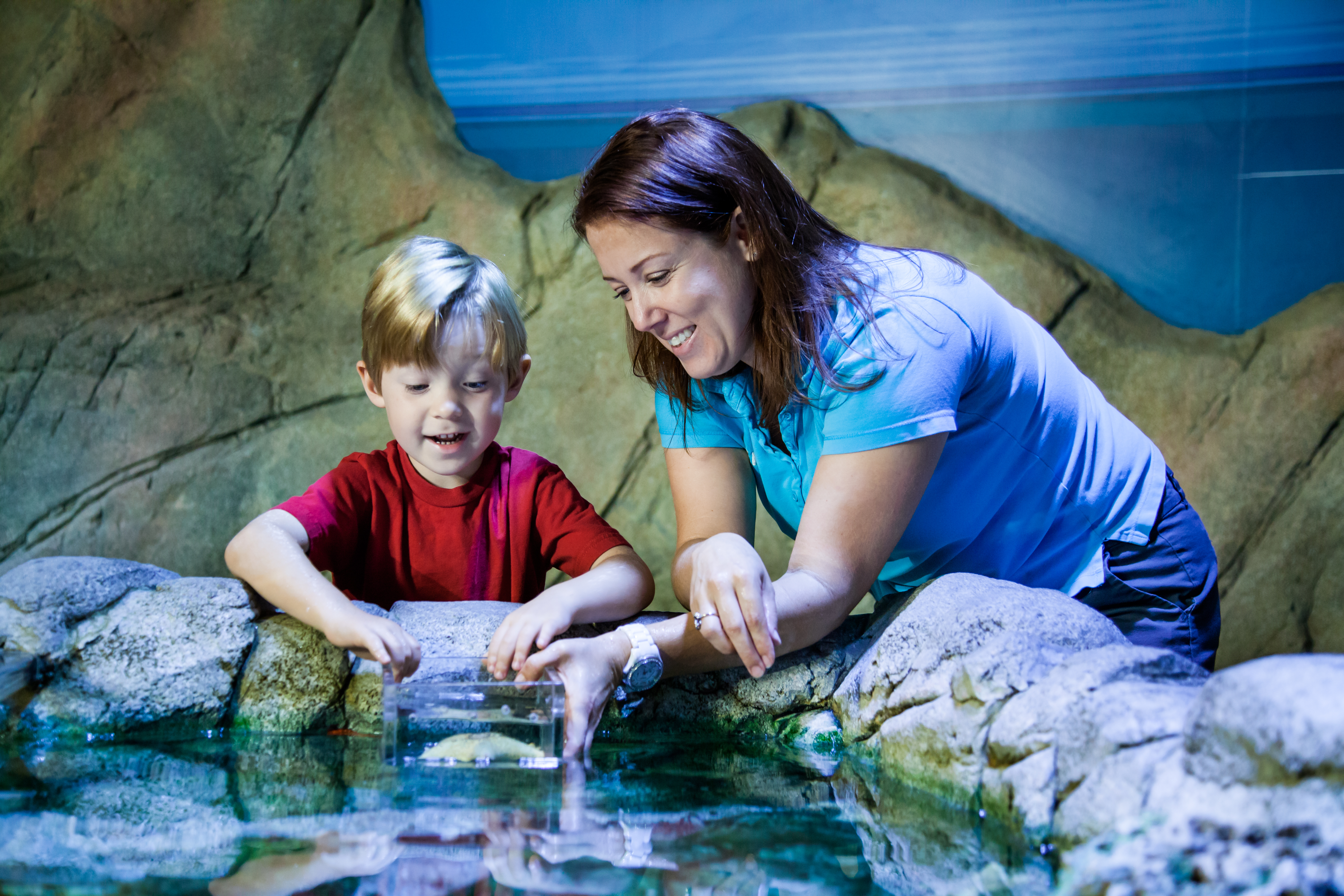 voelpoel SEA LIFE.jpg