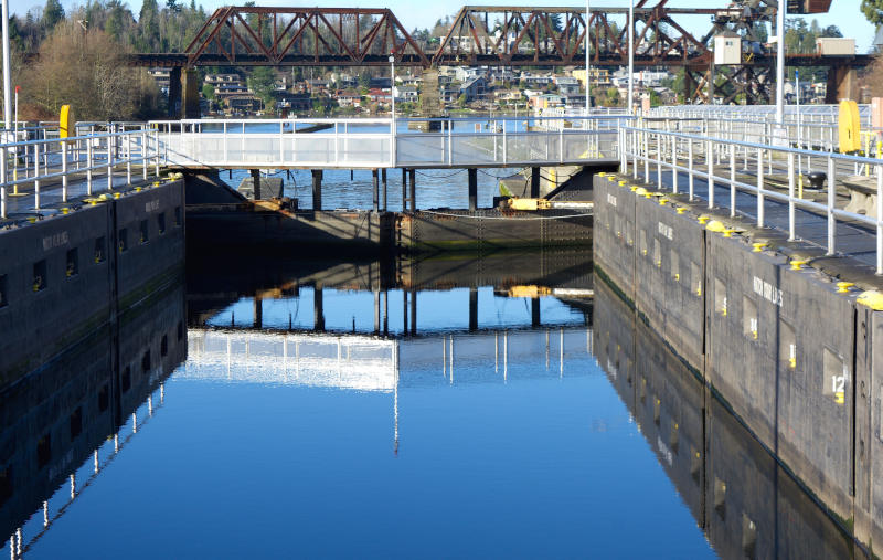 Ballard Locks.