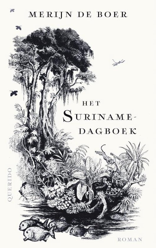 afbeelding van Het Surinamedagboek