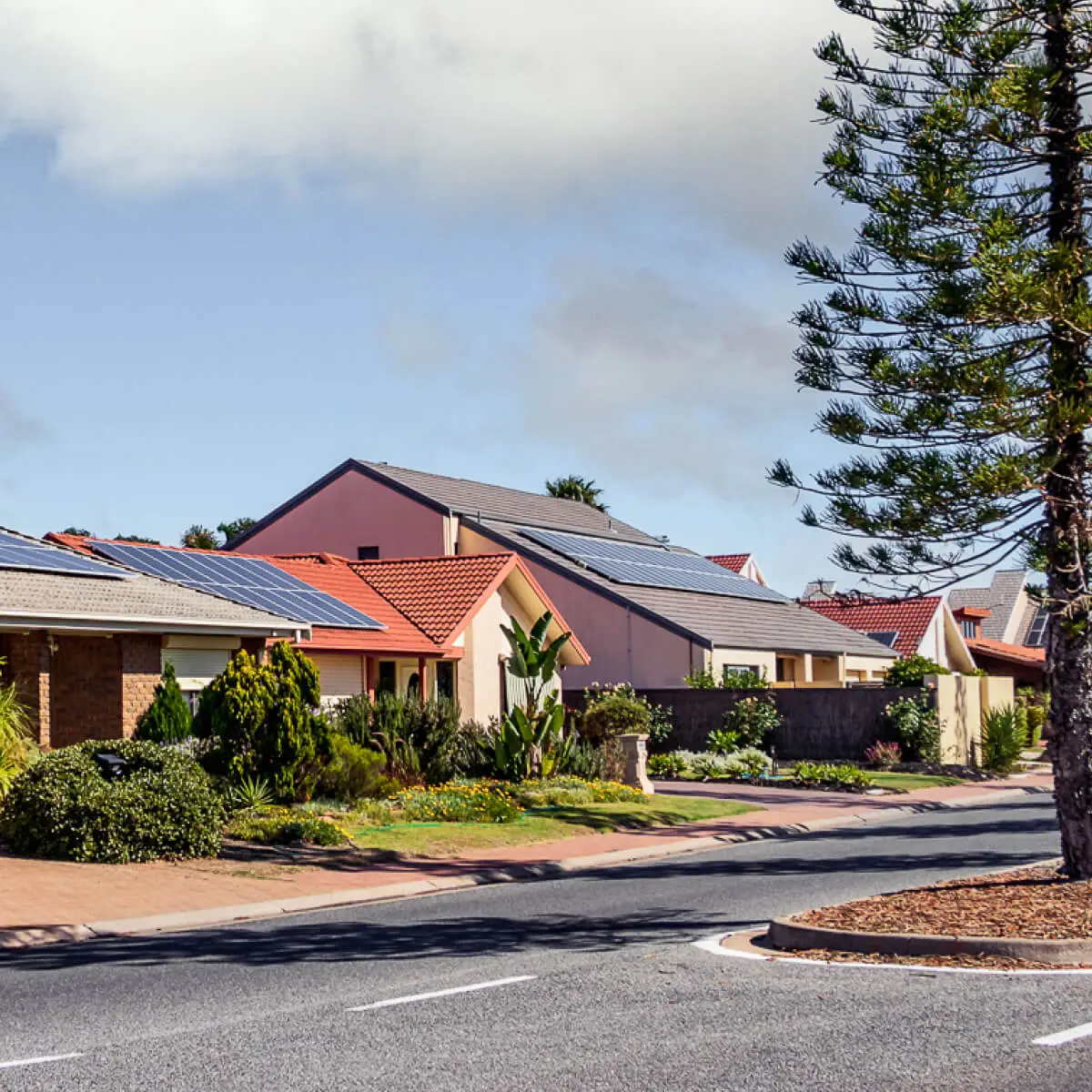 Row of typical Aussie homes, all have solar installed on their different rooftops. Tall pine trees line the footpath opposite the row of houses.