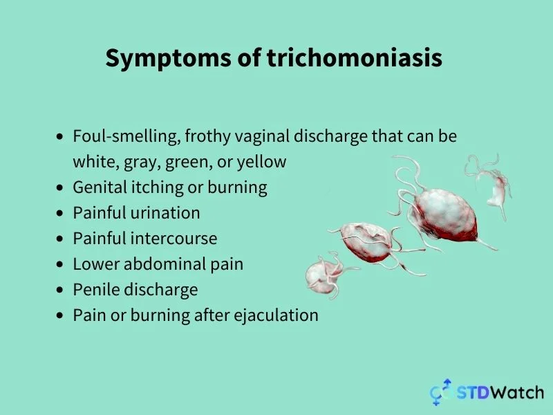 symptoms-of-trichomoniasis