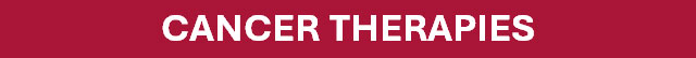 Poster_Section_Title_CancerTherapies.jpg