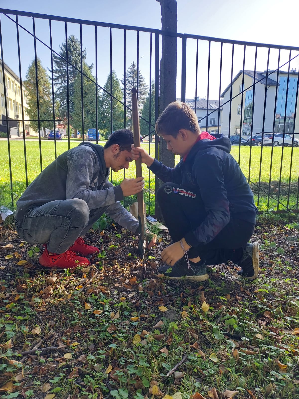 Sadzimy z Prezydentem RP | Dwóch wychowanków MOW sadzi otrzymaną sadzonkę na placu Ośrodka. Za nimi ogrodzenie z metalowych prętów, w tle drzewa i budynki..jpg