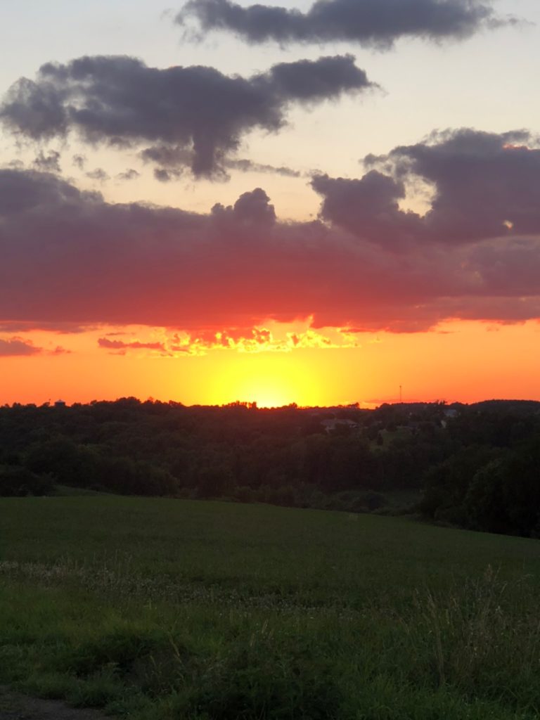 A yellow, pink, and orange sunset is pictured, presumably seen from somewhere on the Green Hill Farm property.