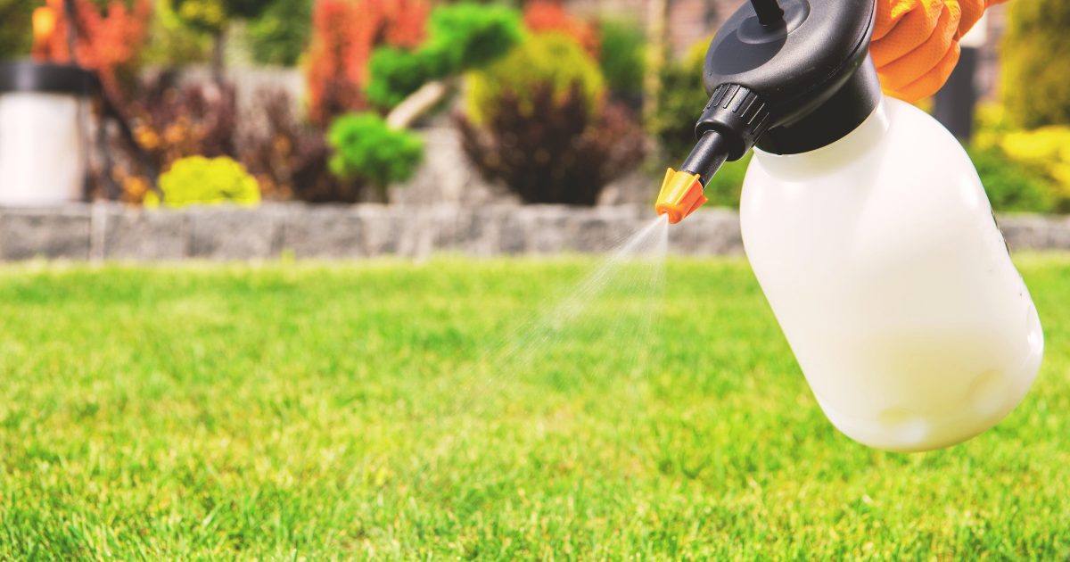Weed and Pest Management.png
