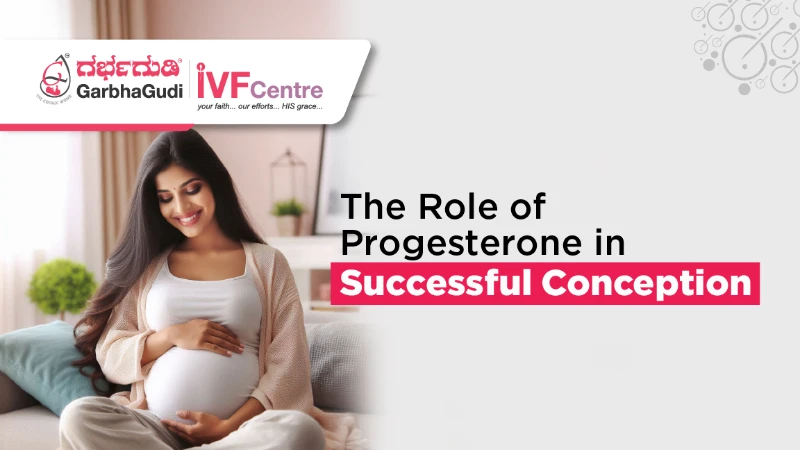 The Role of Progesterone in Successful Conception