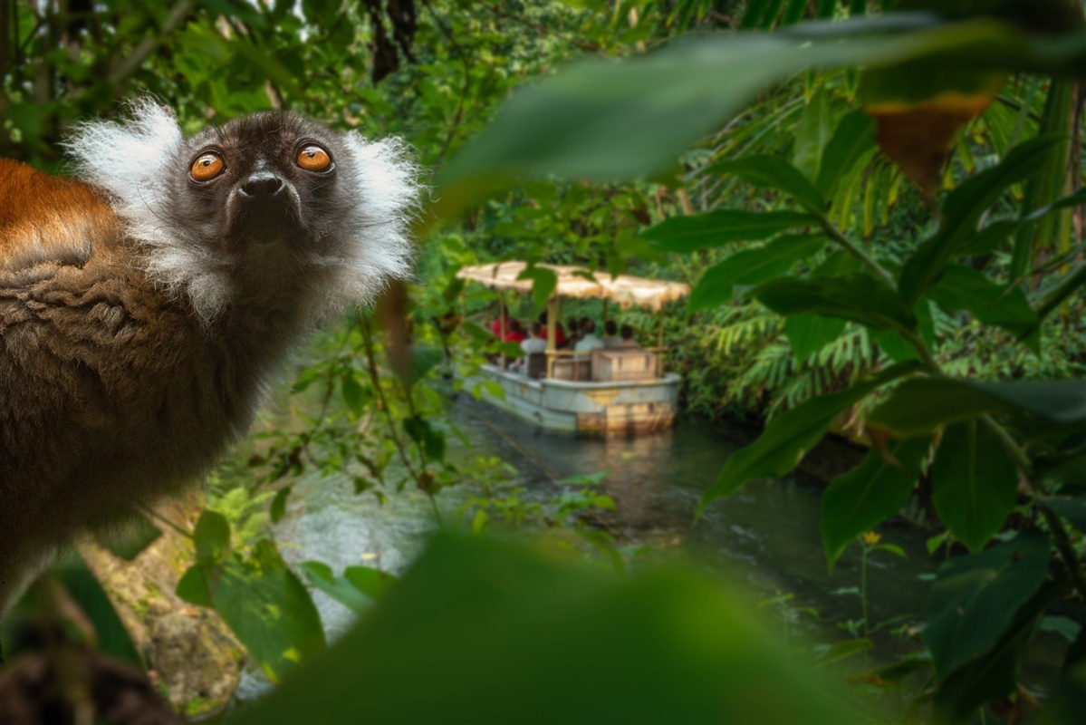 Korting op tickets: Wildlands Zoo in Emmen 🦁 - De ADshop