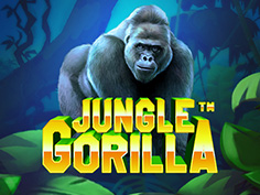 Jungle Gorilla