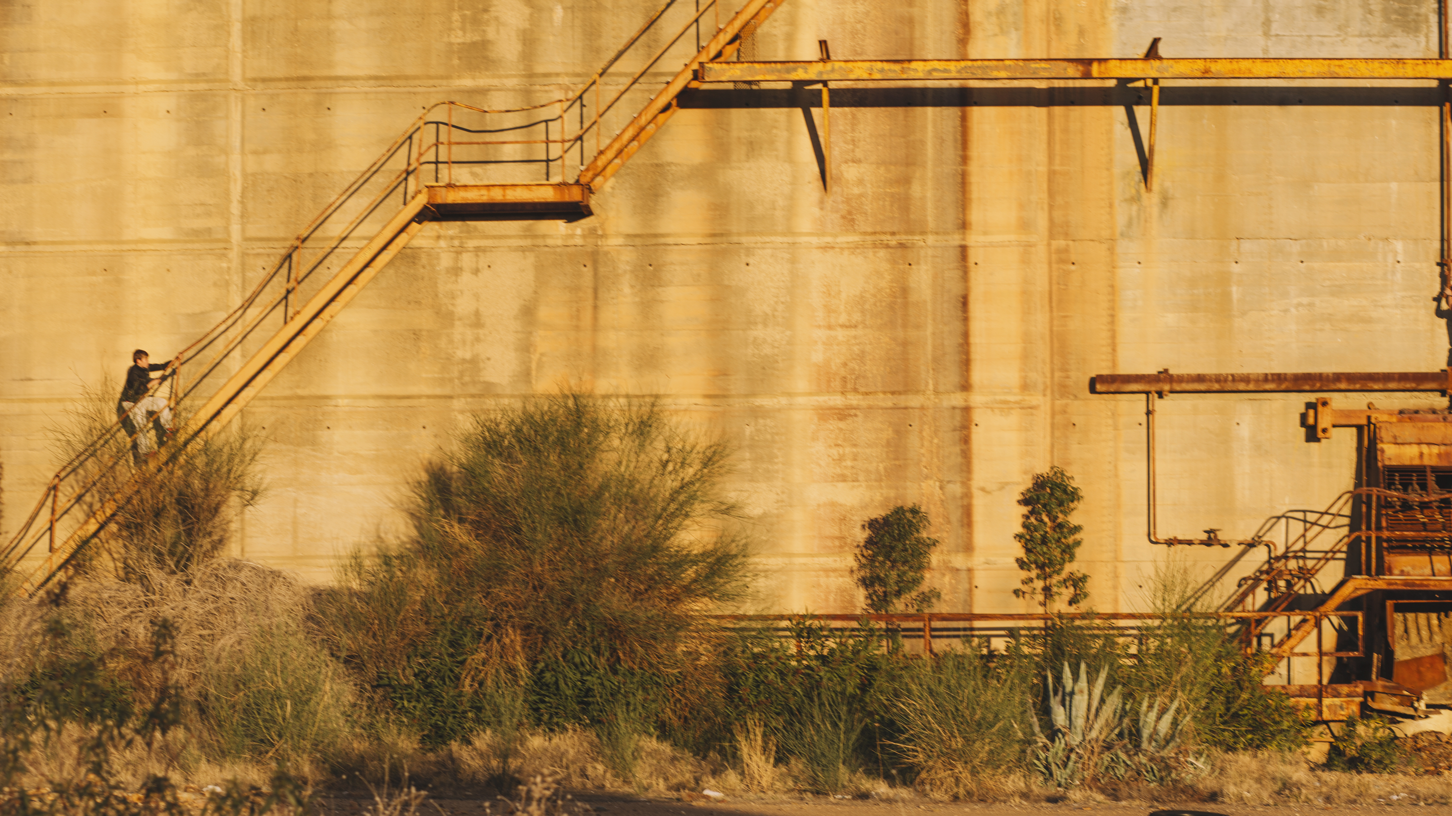 person-walking-up-abandoned-building.jpg