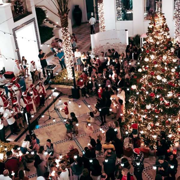 Hayat Restauant tree lighting.jpg