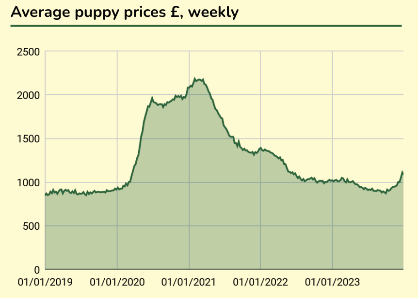 Average puppy prices £, weekly