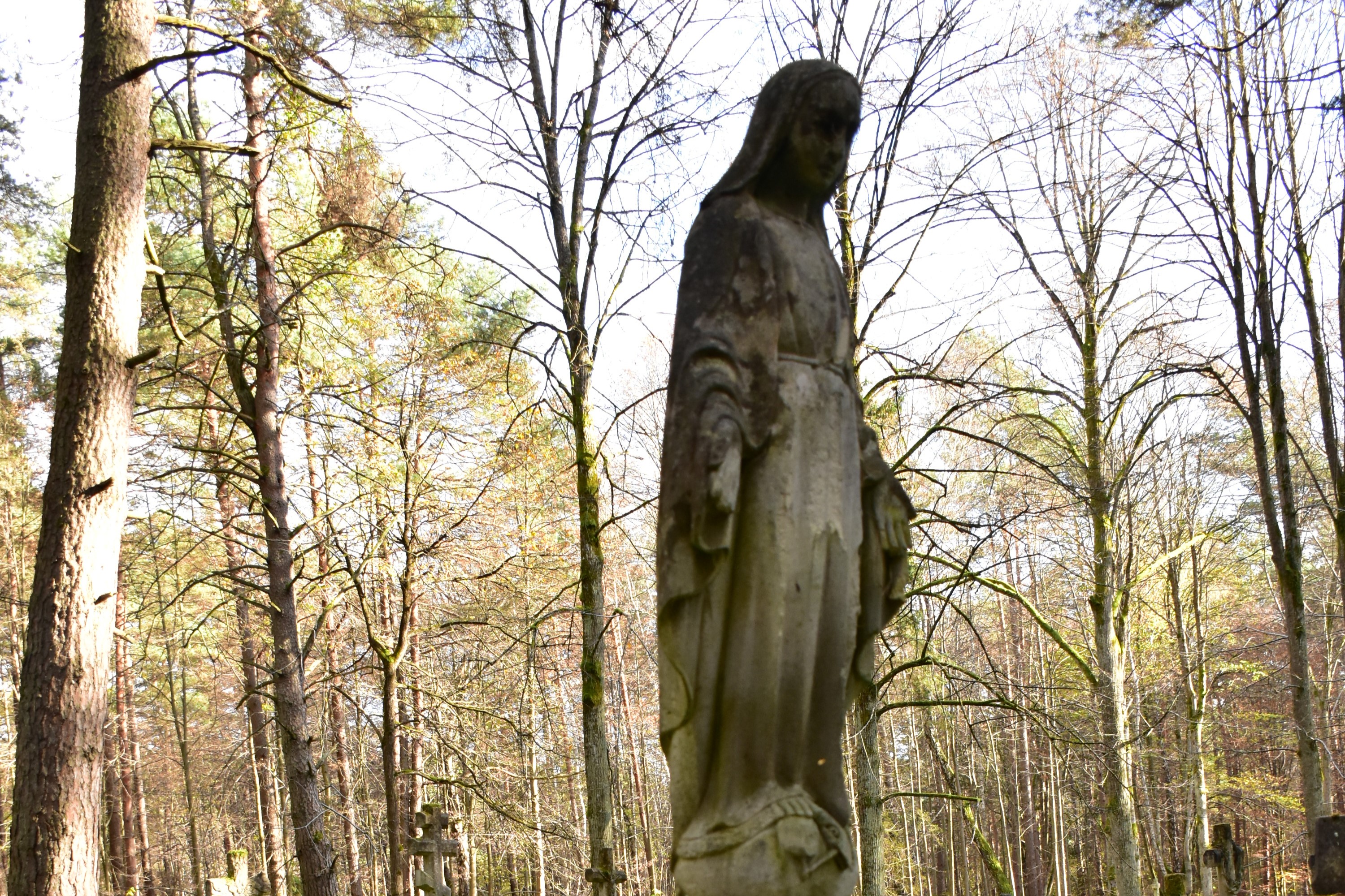 Blizny historii. Ślady II wojny światowej i nie tylko w naszej okolicy | Kamienna, pokryta patyną figura Madonny. W tle częściowo pozbawione liści, jesienne drzewa..JPG