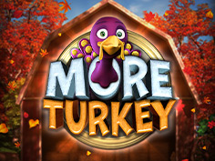 More Turkey