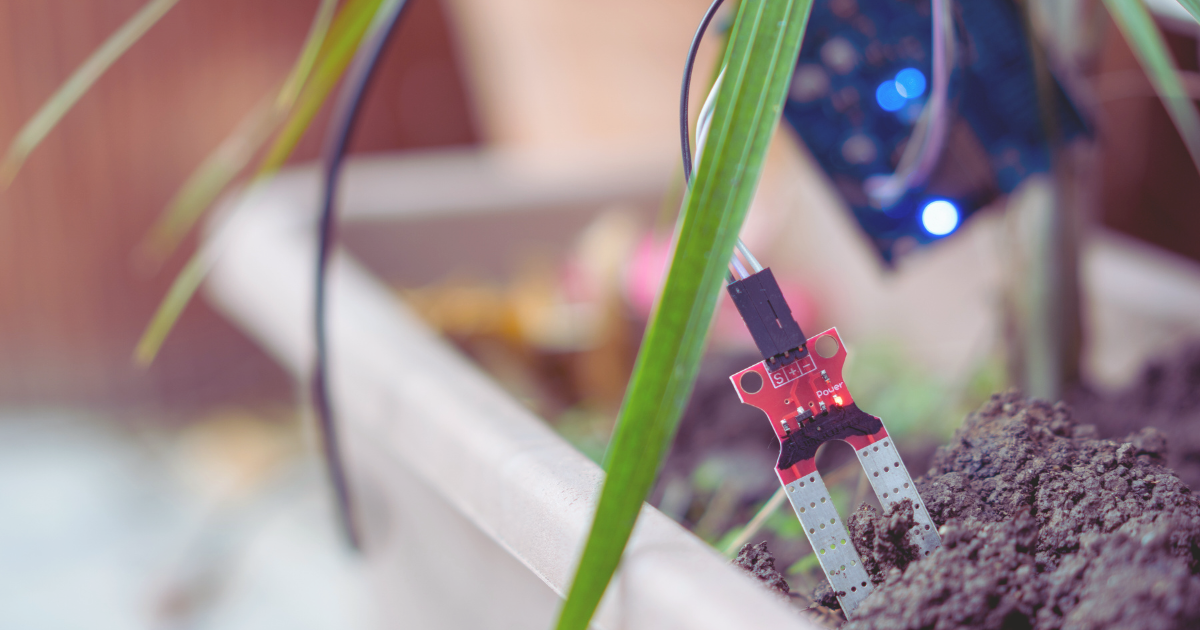 Check Soil Moisture with Your Fingers.png