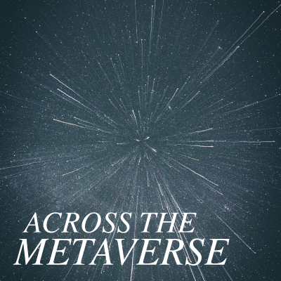 Across the Metaverse