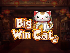 Big Win Cat