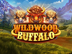 Wildwood Buffalo