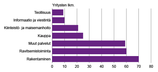 Kuvio 1. Ulkomaalais¬taustaiset kasvu¬yritykset toimi¬aloittain  Lähde: Tilasto¬keskus, toimi¬aloittainen yritystieto¬palvelu. 