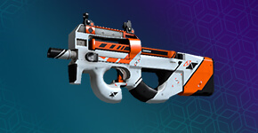 Skins P90