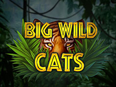 Big Wild Cats