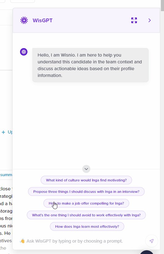 WisGPT prompt example - Wisnio.gif
