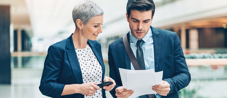 Sales Executive