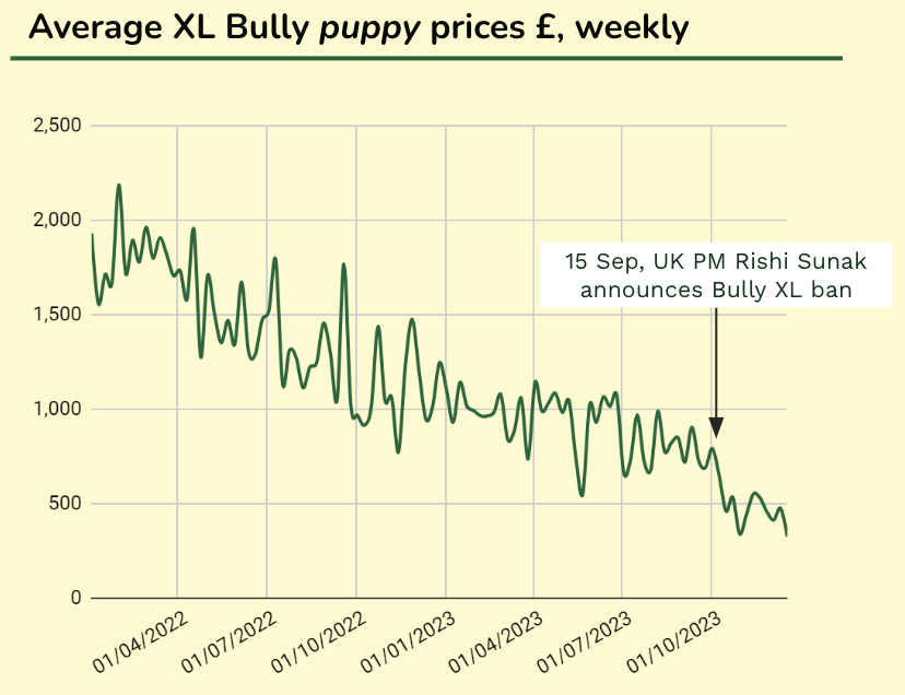 Average XL Bully puppy prices £ weekly.png