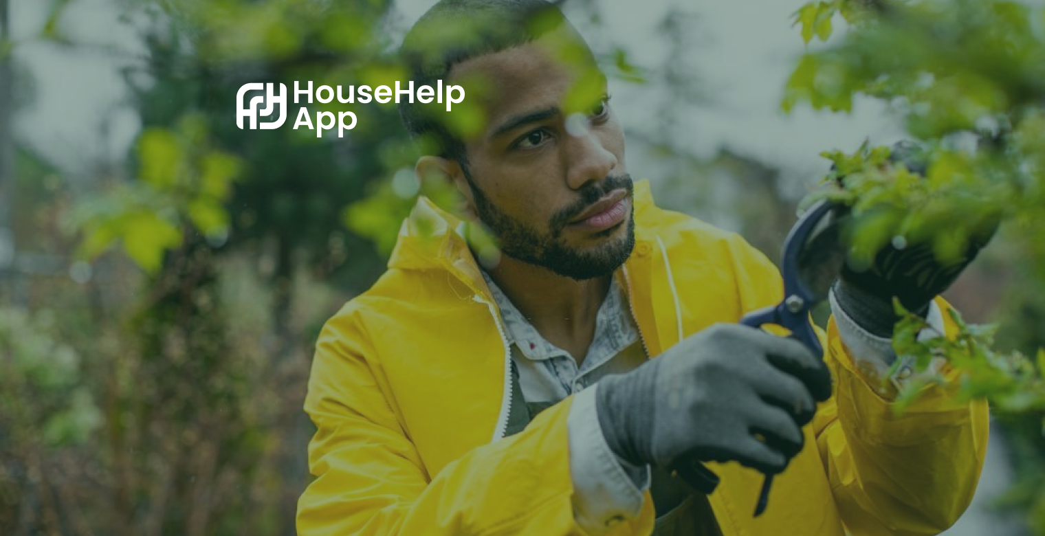 The Art of Garden Care: A Guide to Nurturing Your Green Haven