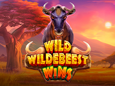 Wild Wildebeest Wins