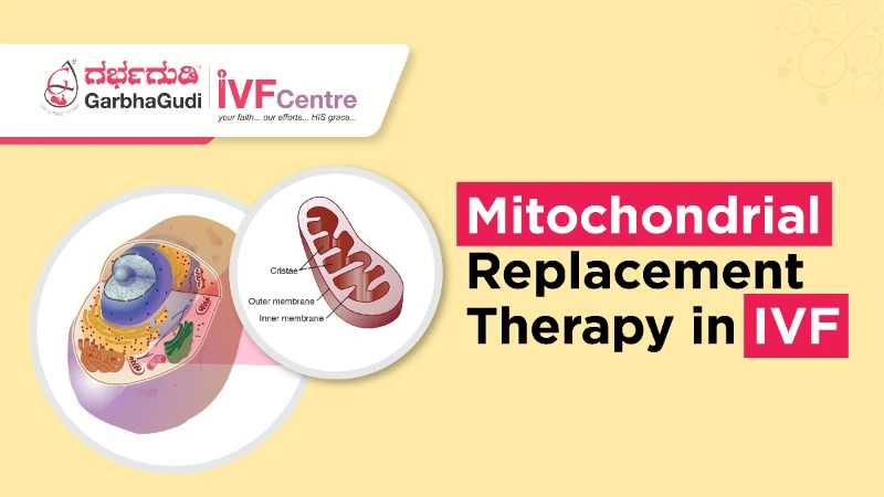 The Science Behind Mitochondrial Replacement Therapy in IVF