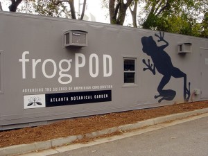 frogPOD-300x225.jpg