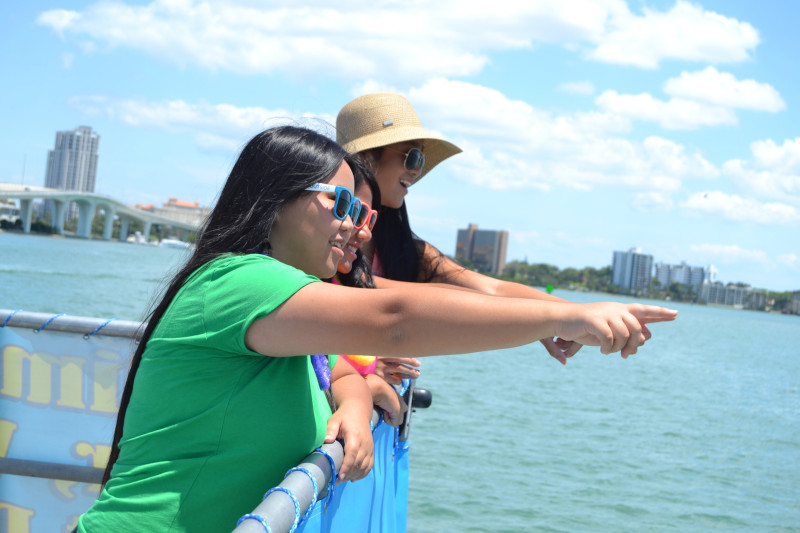 Guests pointing out dolphins