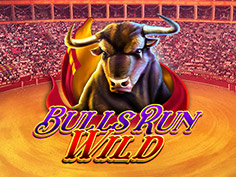Bulls Run Wild