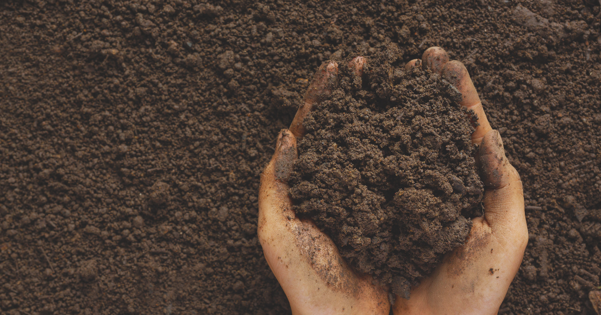 Soil and Nutrient Management.png