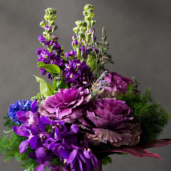 All about kale flowers Interflora