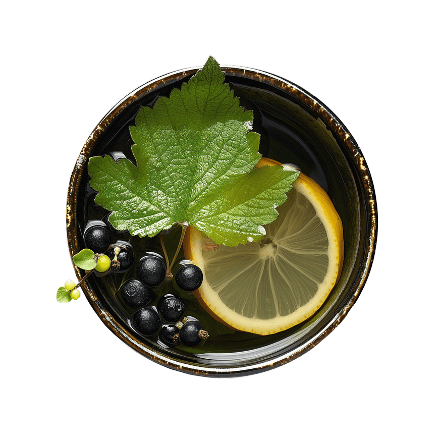 Elderberry Lemon Balm Immune  Stress