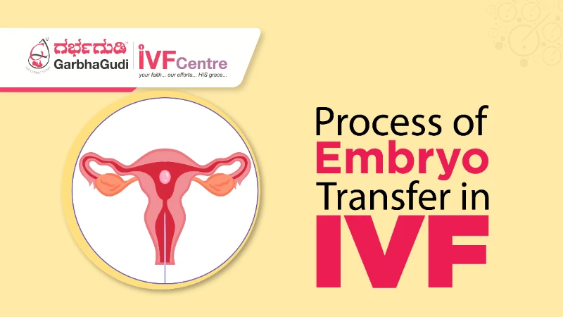 Exploring the Process of Embryo Transfer in Fertility Treatments