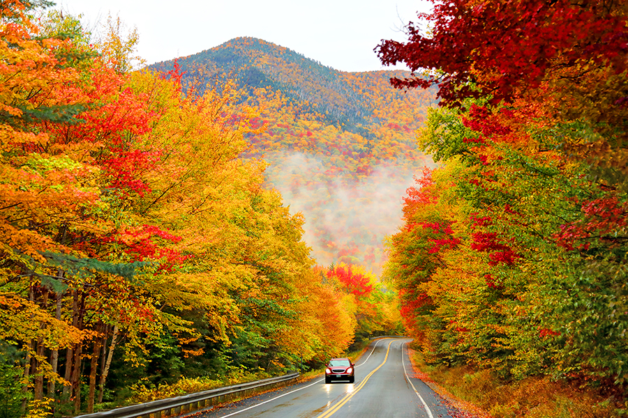 A car drives down a highway lined in gorgeous, colorful trees.