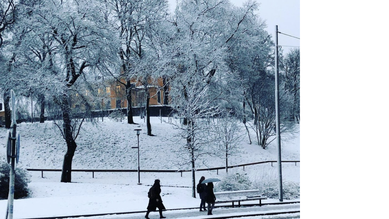 İsveç'te kış...