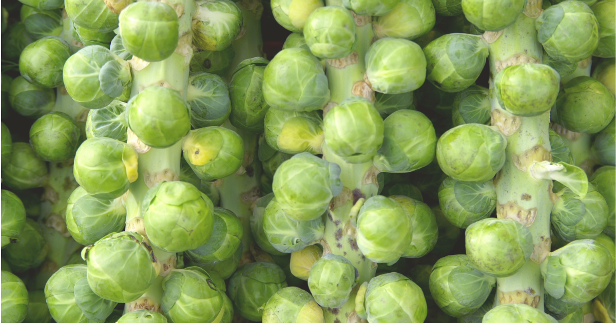 Brussels Sprouts.png