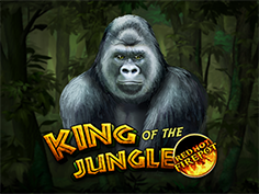 King Of The Jungle Red Hot Firepot