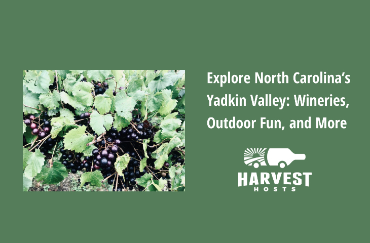 Explore North Carolina’s Yadkin Valley: Wineries, Outdoor Fun, and More