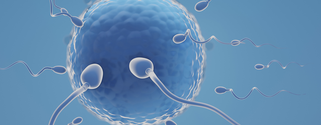 ICSI Treatment In Bangalore Advanced Fertility Solutions