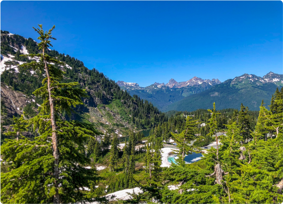 Seattle_MtRainier.png