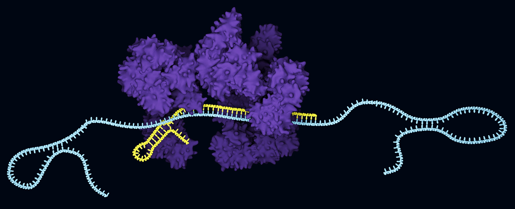 BioCentury Cuttingedge diagnostics
