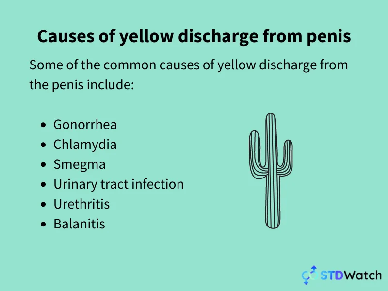 causes-of-yellow-discharge-from-penis