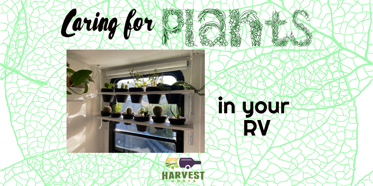 Caring for Plants in an RV