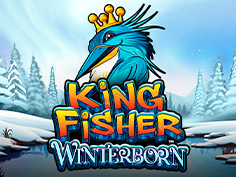 Kingfisher Winterborn