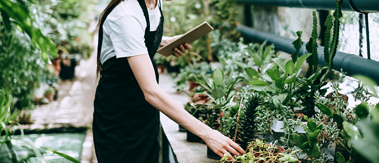 How To Become A Horticulturist - Skills & Job Description – Jobstreet