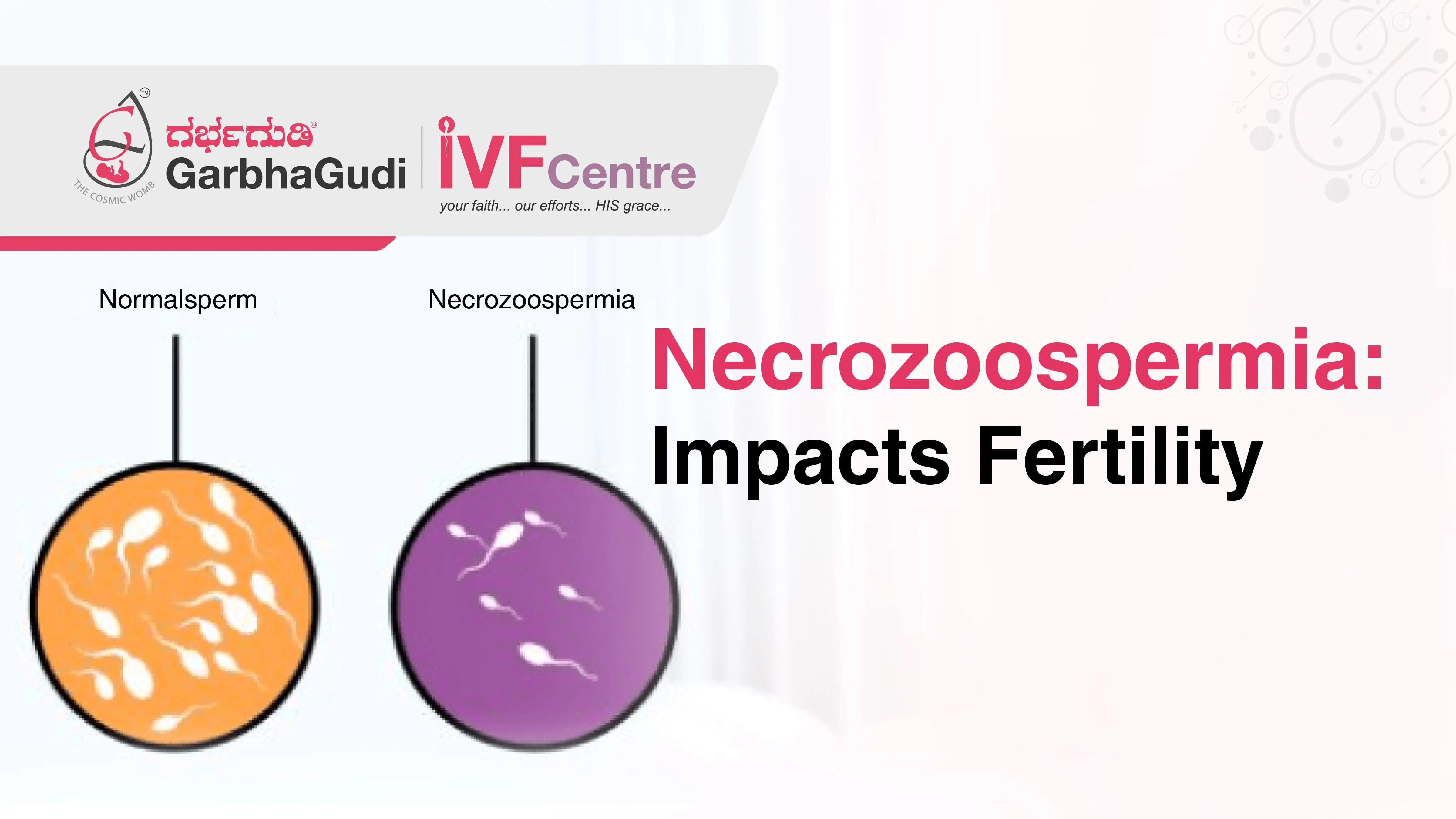 Necrozoospermia: Impacts on Fertility
